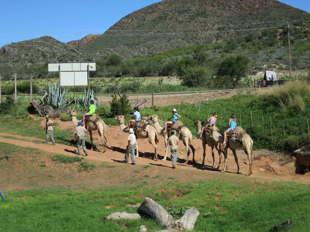 Wilgewandel Holiday Farm&Day Restaurant Oudtshoorn Exterior foto