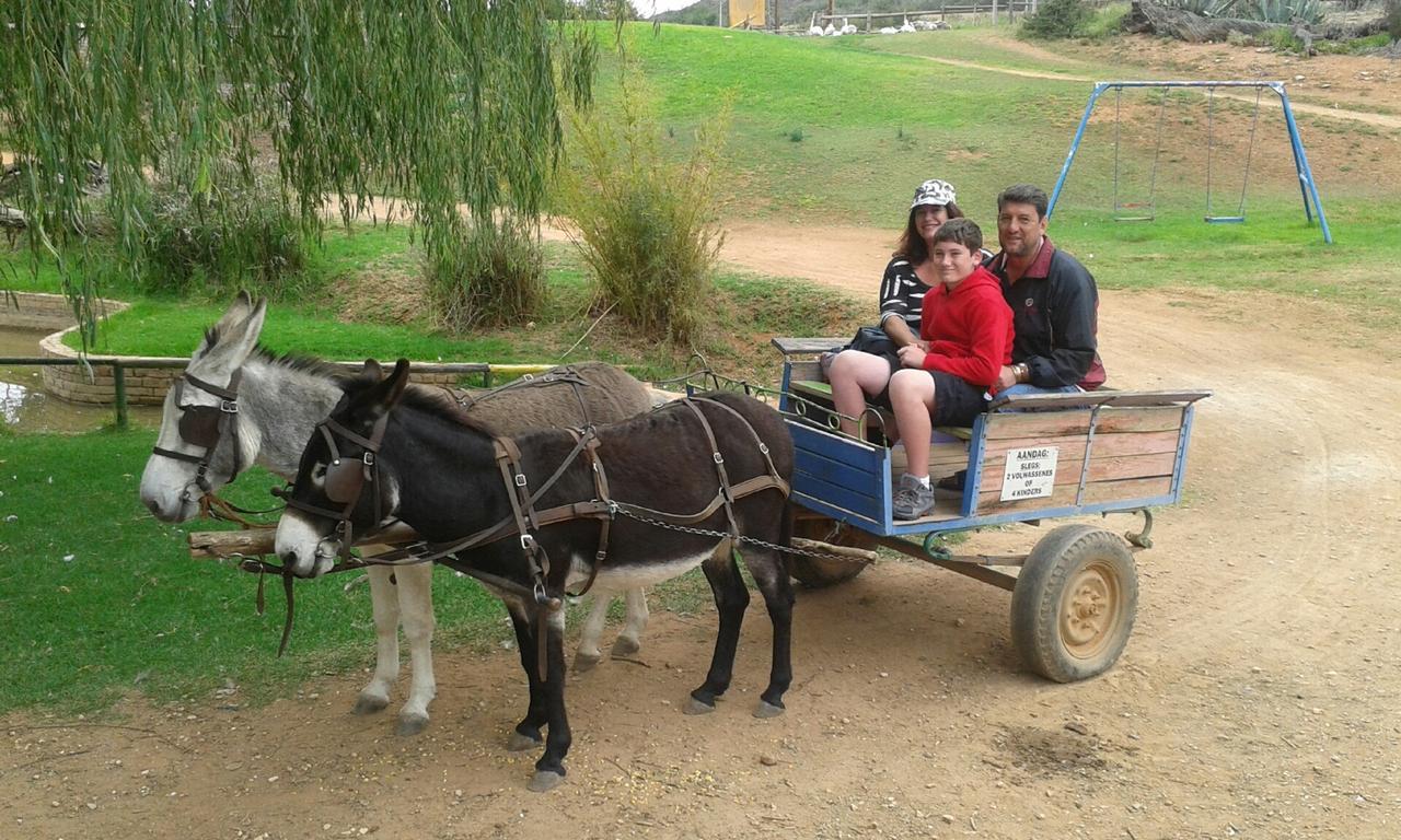 Wilgewandel Holiday Farm&Day Restaurant Oudtshoorn Exterior foto