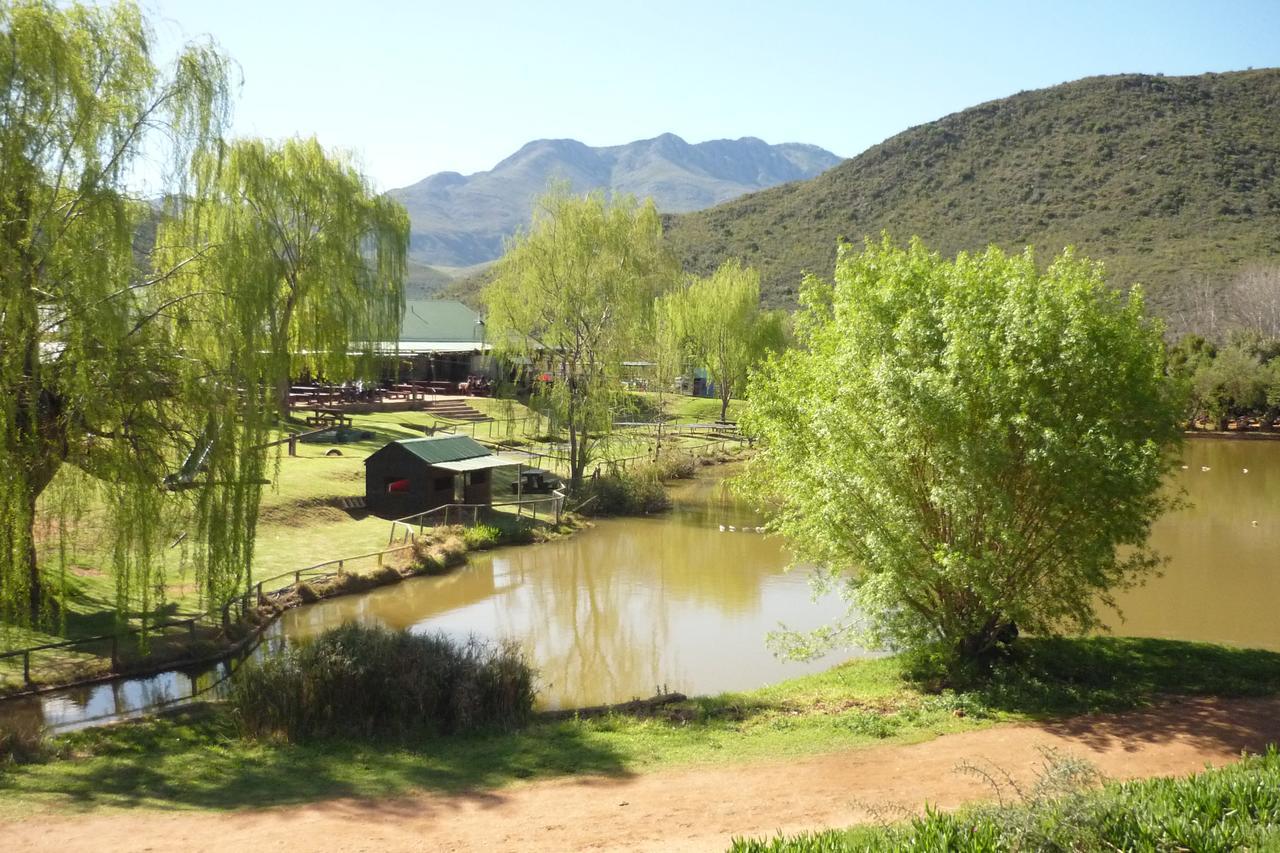 Wilgewandel Holiday Farm&Day Restaurant Oudtshoorn Exterior foto